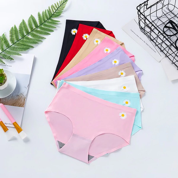 WDP-0502-Cover-01